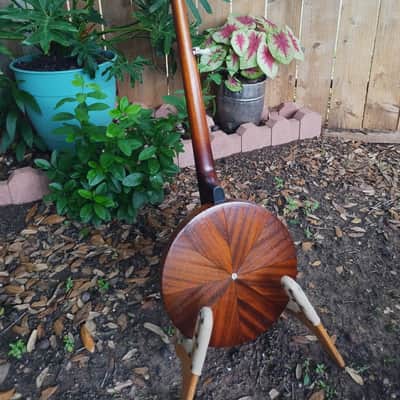 Vega Senator 1920s  - Conversion to 5 string image 6