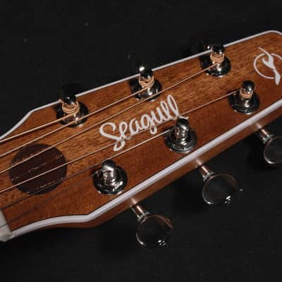 Seagull Maritime SWS Natural Acoustic Electric 747 image 4