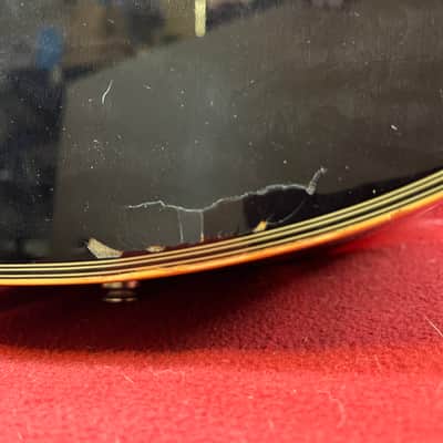 Michael Kelly Dragonfly Fretless 5 image 4