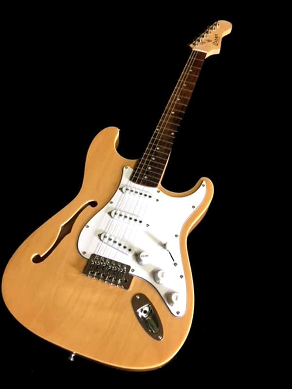 NEW SEMI HOLLOW STRAT STYLE 12 STRING ELECTRIC GUITAR image 1