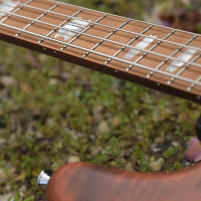 Spector Euro 4 RST - Sienna Stain Matte image 12