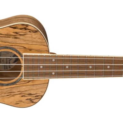 Fender Zuma Exotic Concert Ukulele Walnut FB Spalted Maple image 3