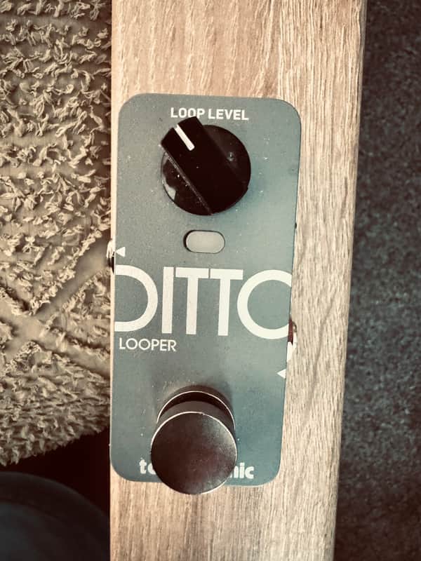 TC Electronic Ditto Looper