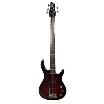 Squier	MB-5 Modern Bass	2002 - 2007