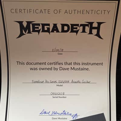 DAVE MUSTAINE'S MEGADETH Studio Breedlove USA Herringbone Acoustic Guitar with L.R. Baggs electric pickup - Album writing recording guitar Artist owned by Dave Mustaine pre-Gibson signature era image 3