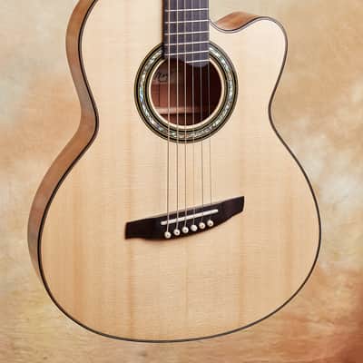 Linda Manzer Fanfret Baritone Acoustic image 4