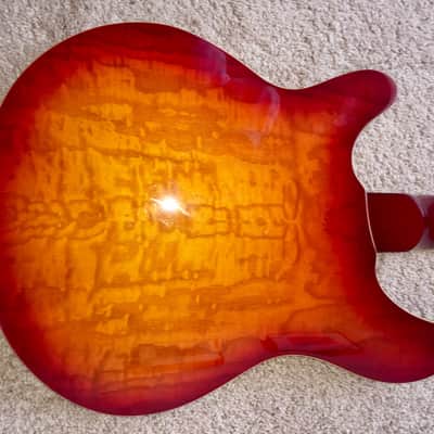 Italia Rimini 12 String Semi-Hollow Electric Guitar - Like New Italia Rimini 12 String Semi-Hollow B image 3