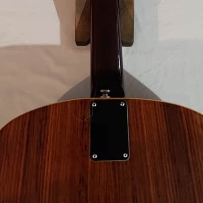 Epiphone FT-135 image 10