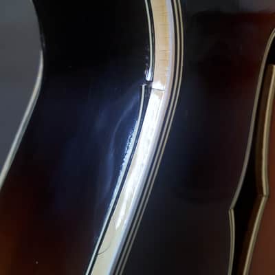 Levin De Luxe 1956 w/Pickup, All Original image 12