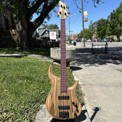 Grog Guitars Rainbow Poplar Mammoth 4 Bass w/ Gator Icon Hybrid Case image 1