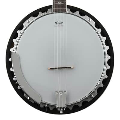 Washburn Americana B10 5-string Resonator Banjo image 1
