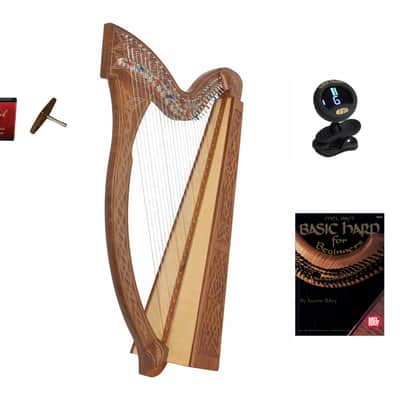 Stoney End Eve 22-String Harp – Custom Purple – Full Featherlite