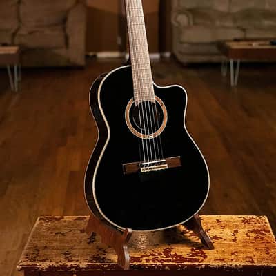 ORTEGA SOLID TOP THINLINE ELECTRIC-CLASSICAL GUITAR (RCE138-T4BK) image 2