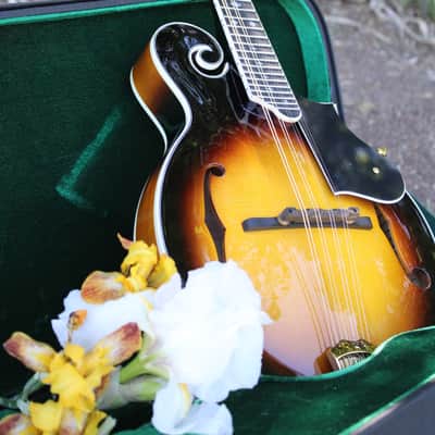 Washburn M3SWK Bluegrass F-Style Mandolin with Hardshell Case- Sunburst image 25