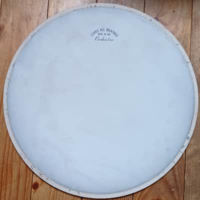 Evans Rare All Weather Orchestra 13" 50s-60s  - Vintage coated white image 3
