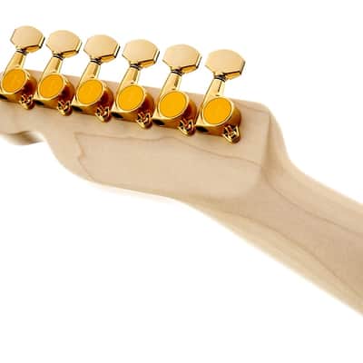 Fender Richie Kotzen Telecaster Electric Guitar. Maple FB, Brown Sunburst image 7