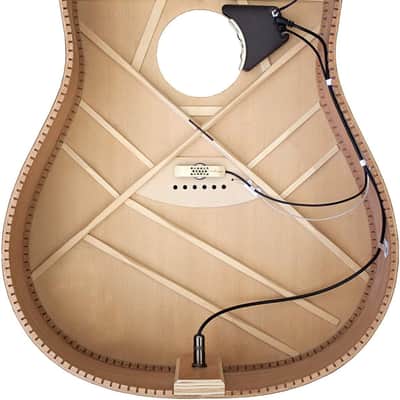 LR Baggs Anthem Acoustic Guitar Soundhole Pickup TRU-MIC and Element Pickup Bundle w/ 12x Guitar Picks and Liquid Audio Guitar Polishing Cloth - Soundhole Pickup for Acoustic Guitar, Guitar Microphone image 2