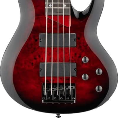 ESP LTD B-205DX 5-string Electric Bass Guitar - Red Burst  Rosewood Fingerboard image 2
