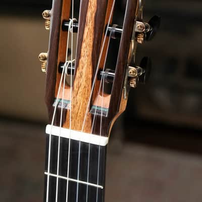 Jose Marques Tradicional Classical Guitar - Brazilian Rosewood with Hardshell Case image 5