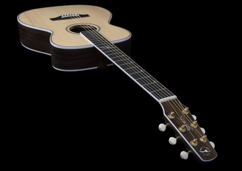 Seagull Artist Studio CH HG EQ    -- -- Solid Rosewood -- LR Baggs Anthem  -- TRIC case image 1
