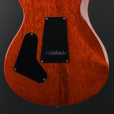 Paul Reed Smith SE Custom 24 '19 image 4