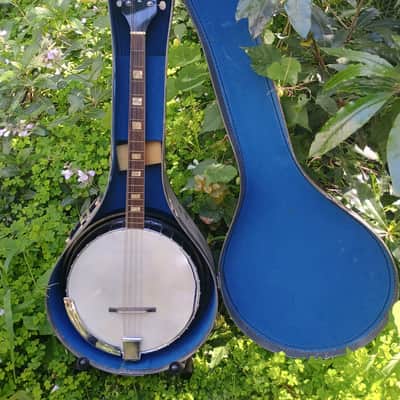 Incredibly Rare Harmony Roy Smeck Mando-Banjo/8-string Tenor Banjo 1960s image 8