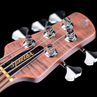 Spector Euro 5 RST 2024 - Roasted Sundown Glow image 9