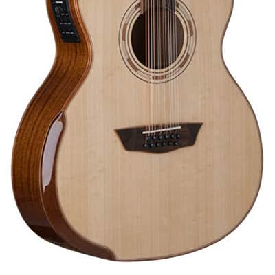 Washburn Woodstock 12-A | Reverb