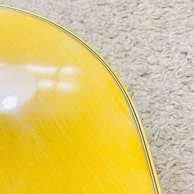 Tokai Cat's Eyes CE-300 1970〜80年代 image 11