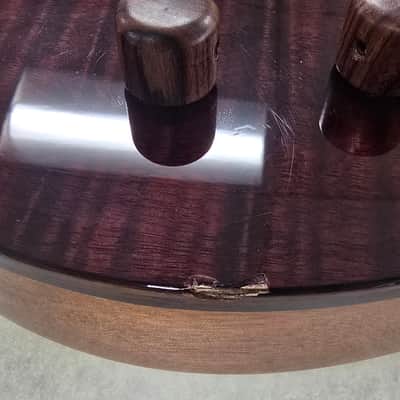 Cordoba Limited Edition Stage Nylon-string Acoustic-electric Guitar Garnet w/Padded Gig Bag image 5
