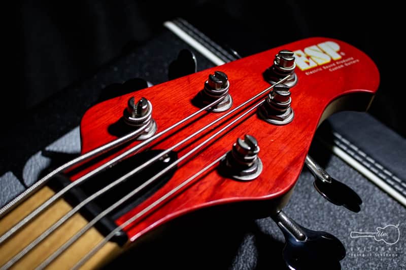 ESP Long Way 190 Red (IKUO Signature Model) | Reverb
