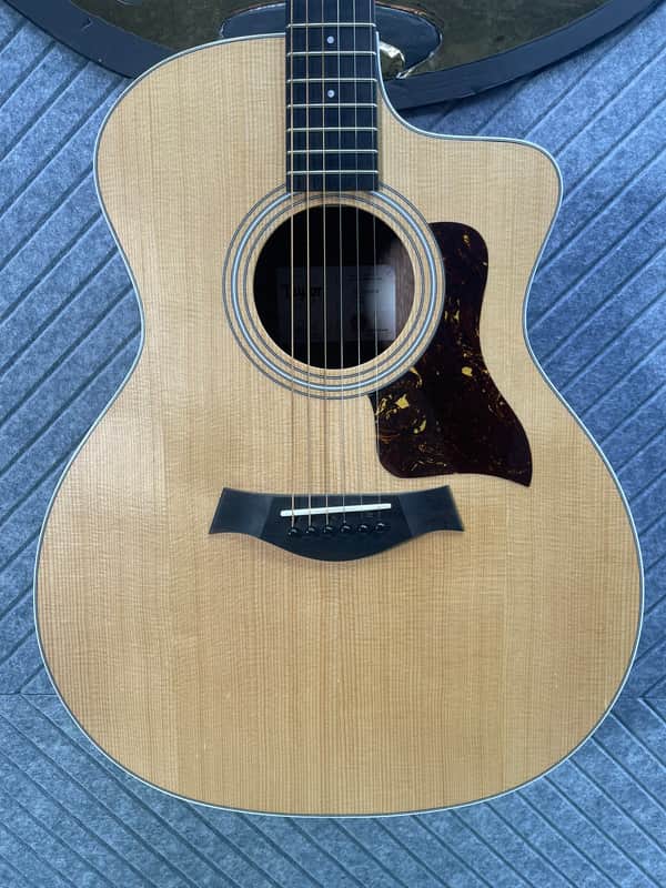 Taylor 214ce Grand Auditorium SkunkWerx IN USA SETUP and Fret Polish! Acoustic-Electric Guitar Natural Finish - 4.4lbs image 1