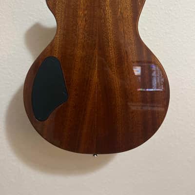 Washburn USA Shop - Custom - w/ Case image 4