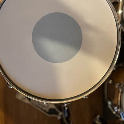 Pearl STS1455S/C405 Session Studio Select 14x5.5" Snare Drum 2018 - 2020 - Nicotine White Marine Pearl image 6