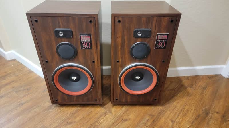 Cerwin Vega RE-30 Series 250 Watt 3 Way Floor Standing Speakers Sound Great image 1