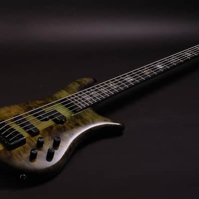 Spector Euro 5 CST 2026 - Haunted Moss Gloss image 5