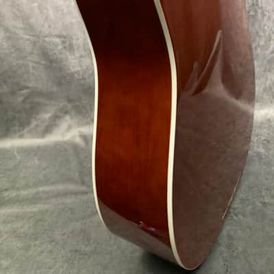 Esteban VL-200 Acoustic/Electric Prototype 2009 image 8