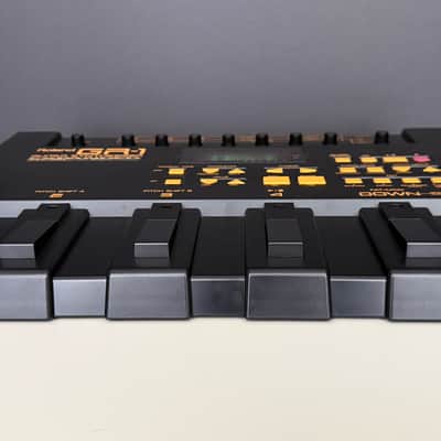 Roland GR-1 Guitar Synthesizer Expanded 6MB w/ Original Case Manual Power Supply image 6