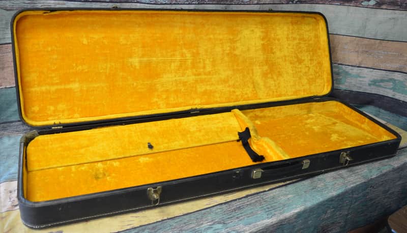 Vintage Original 60's Thunderbird Case image 1