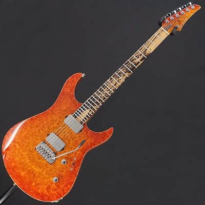 Koca Guitars [Ikeshibu Used Goods Festival Item] USED Light 6 String (Burl Maple Top / Pale Moon Ebony / Birds Eye Maple Neck) Coca Guitars image 3