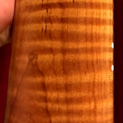 USA Customs Tele Neck 2015 - Nitro image 7