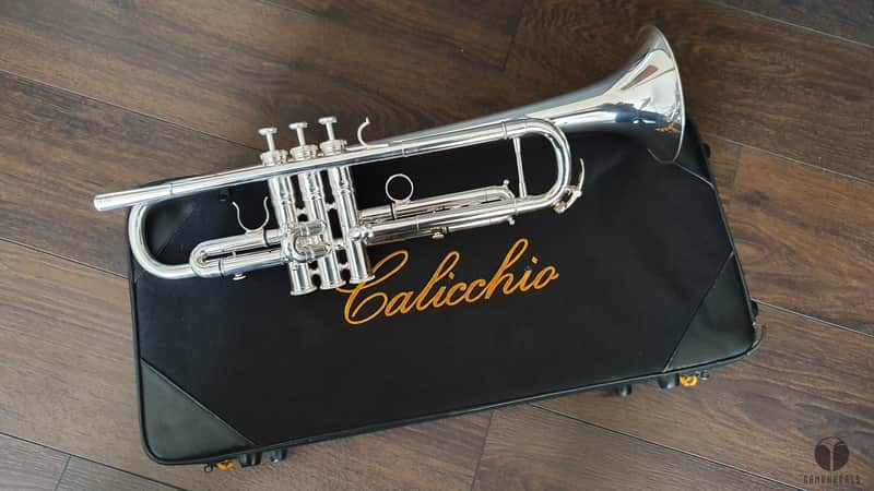 D. Calicchio DT-S1s/3M Dave TRIGG Model | Gamonbrass trumpet image 1