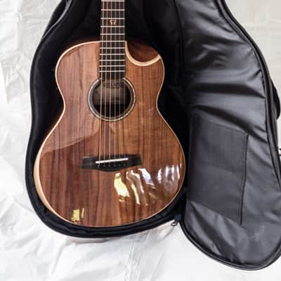 Traveler Redlands Acoustic/Electric Koa Gloss with Gig Bag image 12