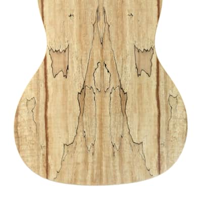Sun Star Spalted Maple Concert Ukulele image 4