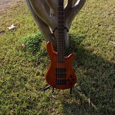 Spector Euro series Rebop bass , 4 string ( made in czech republic ) image 1