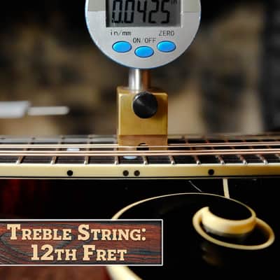 Gold Tone Grandmaster Mandolin Victorian #5279 image 19