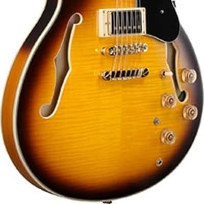 Ibanez JSM10EM TTB John Scofield Signature Semi Hollowbody Electric Guitar. 2 Tone Burst image 3