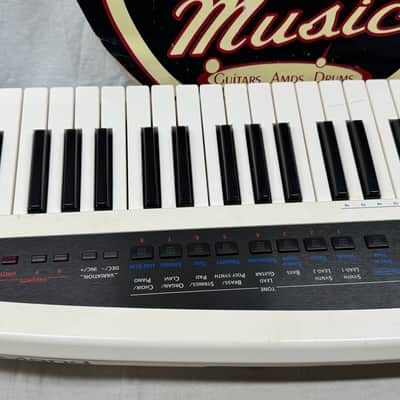 Roland AX-Synth 49-key Keytar Synthesizer with SKB Case image 5