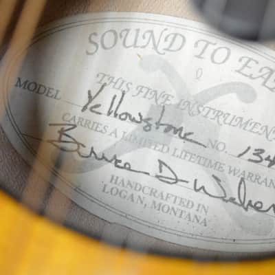 Weber Yellowstone F14-F Mandolin image 14