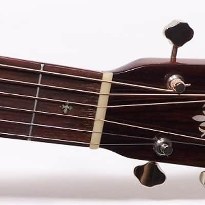 Recording King RO-16 Classic Series Acoustic Guitar Excellent! image 3